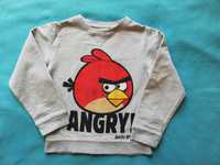 Bluza chłopięca, Angry Birds, rozmiar 122cm
