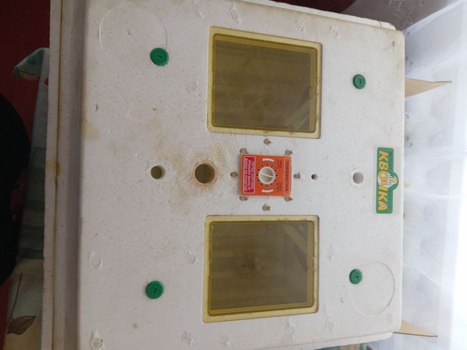 Инкубатор квочка