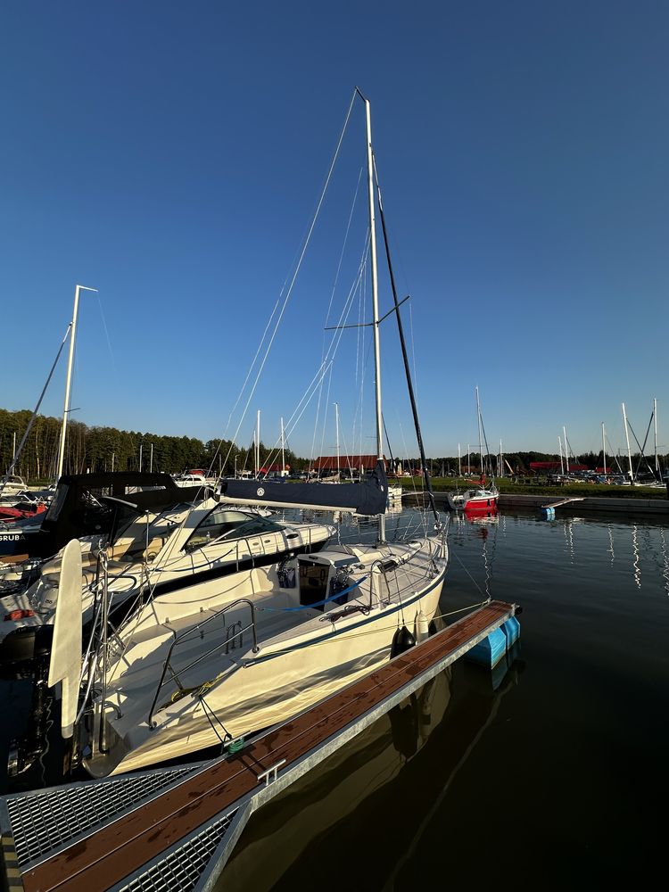 Jacht Tango 730 Sport