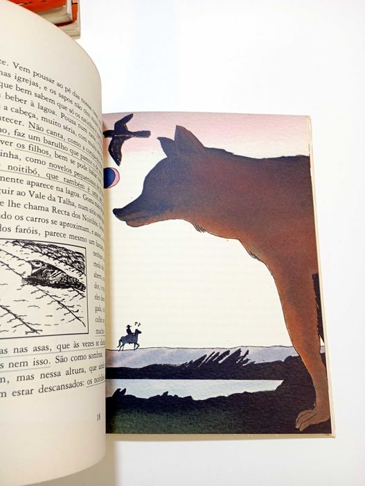 O Sapo Francisquinho - Clara Pinto Correia