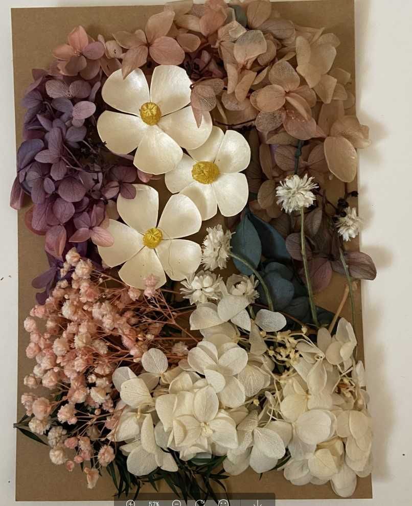 Сухие цветы для декора  6 кольорів для свічок набори сухоцвітів