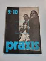 Revista Praxis 9/10