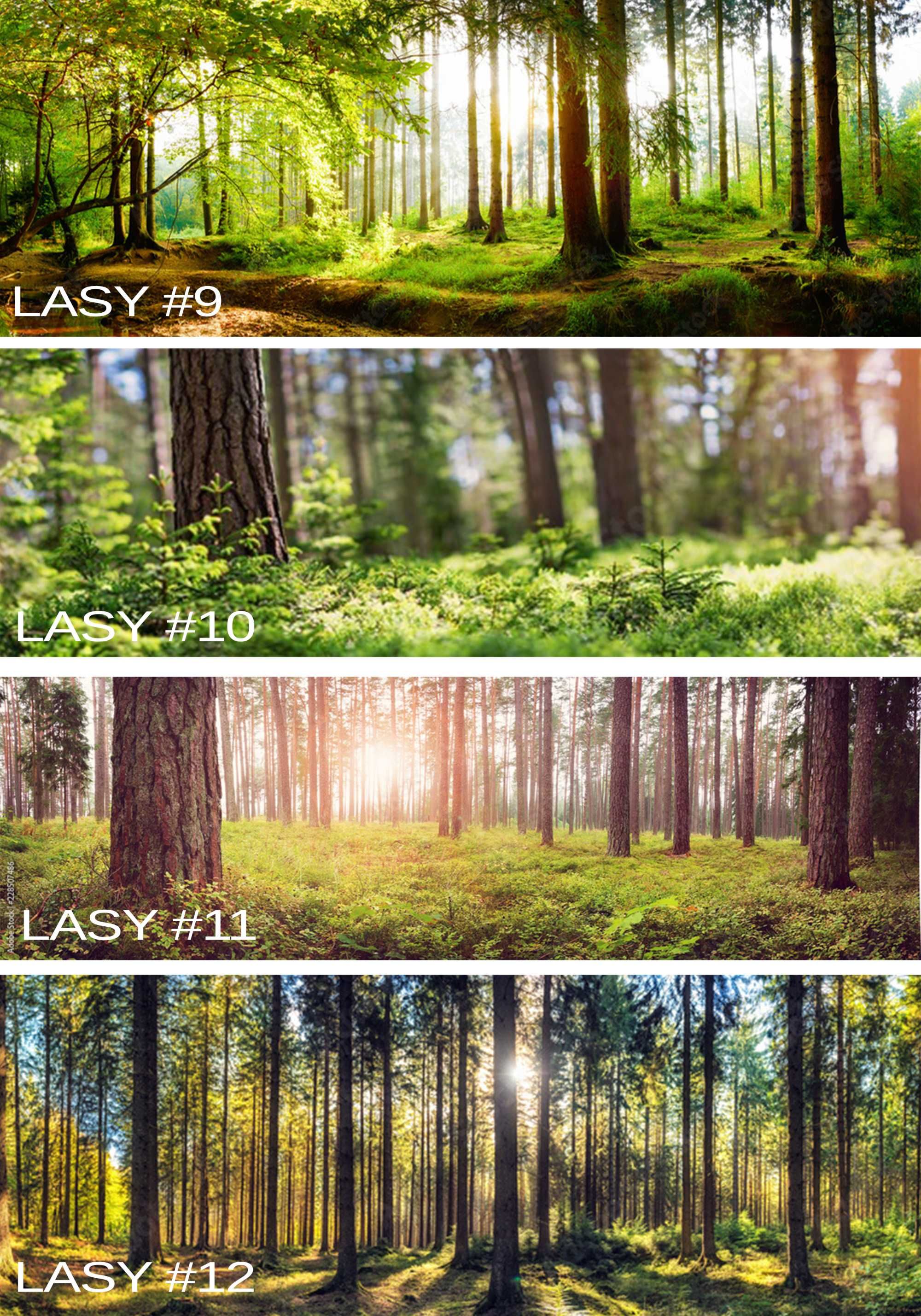PIĘKNE Panele Szkło hartowane UV Panorama Las Góry Tatry MONTAŻ GRATIS