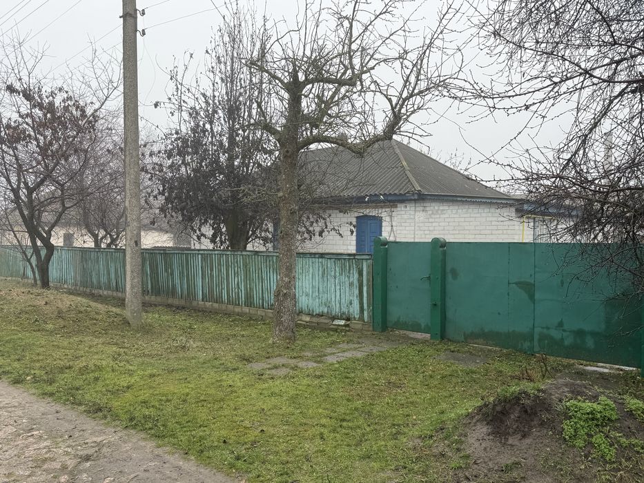 Будинок в жилому стані, Худяки