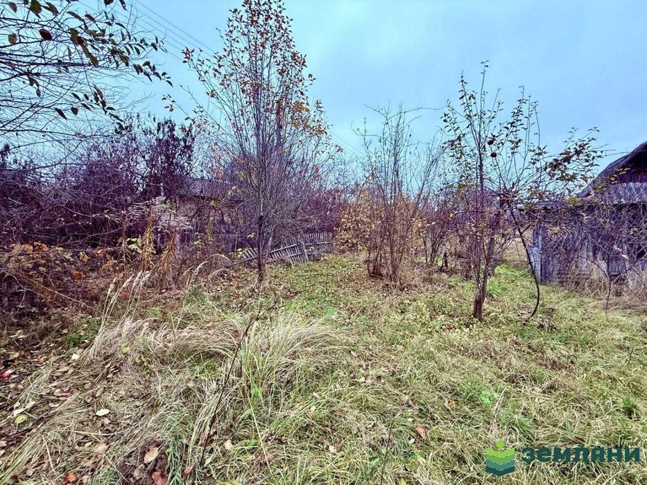 Продається дачна ділянка у с. Хриплин (7)