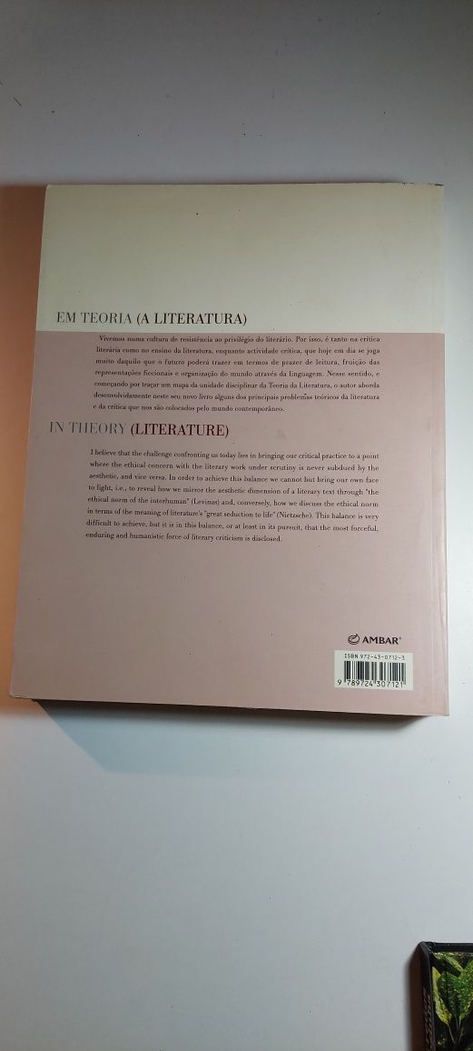 Em Teoria (A Literatura) Manuel Frias Martins
