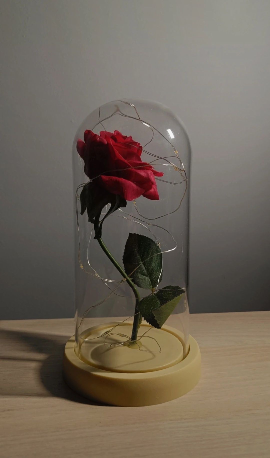 Piękna Wieczna Róża