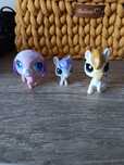 Littlest pet shop LPS  zestaw