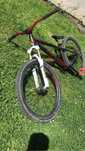 Dartmoor gamer 2021 Fox Kashima