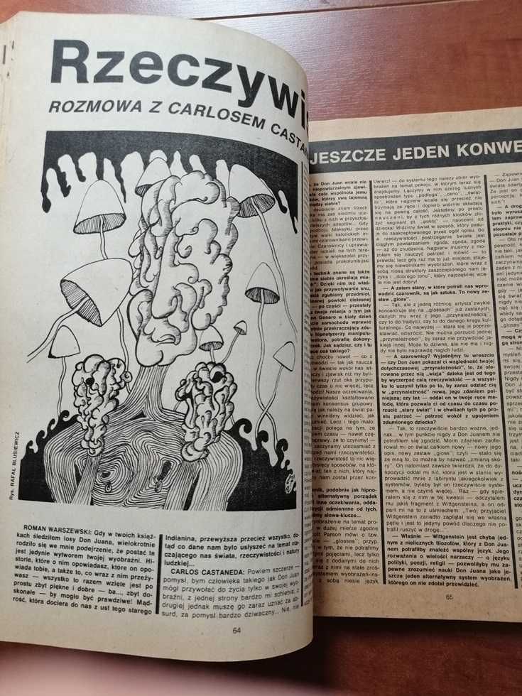 Czasopismo / gazeta Literatura egzemplarz 11/12 z 1987 roku.