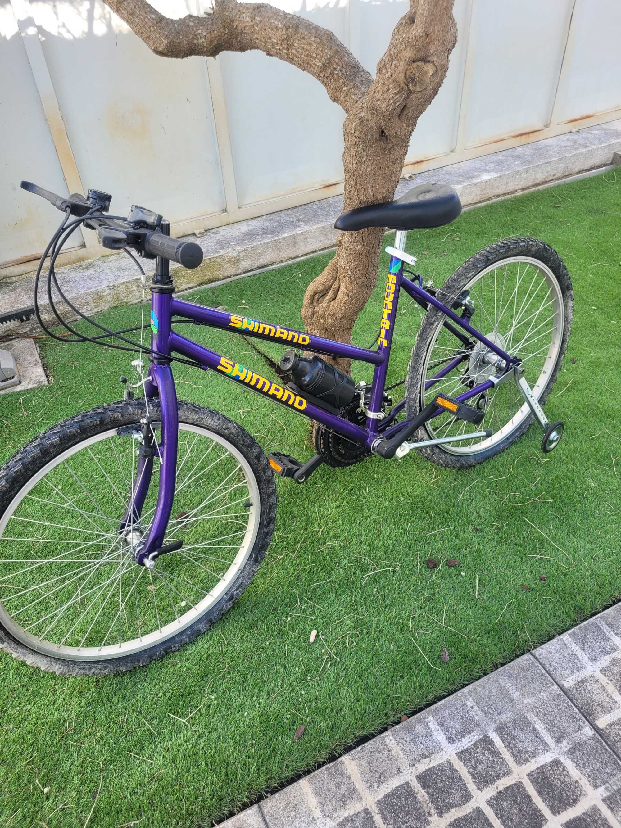 Bicicleta e suporte para tejadilho novos