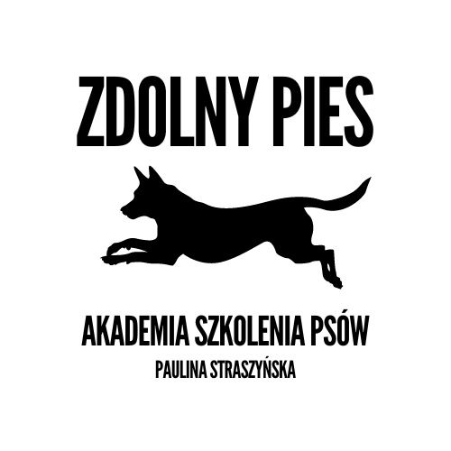 Behawiorysta psów, trener psów, zoopsycholog, Gorzów Wlkp.
