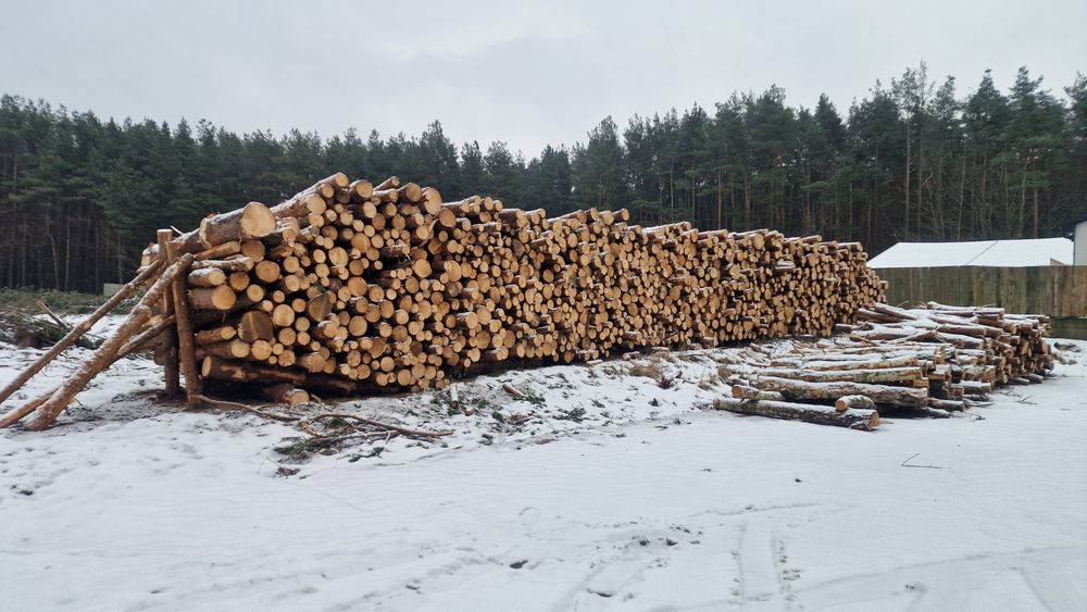 Sprzedam drewno sosnowe 2.5mb 120m3