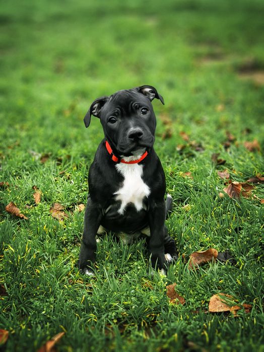 Флип ждёт именно тебя