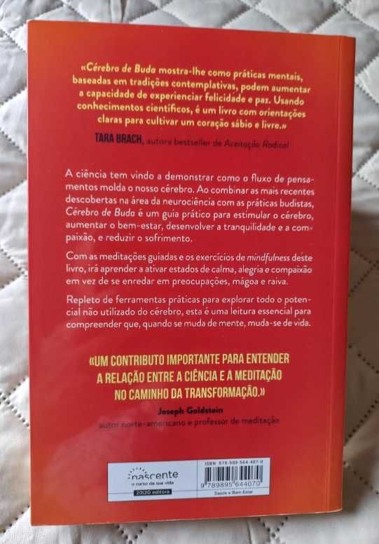 Cérebro de Buda - Dr. Rick Hanson e Dr. Richard Mendius