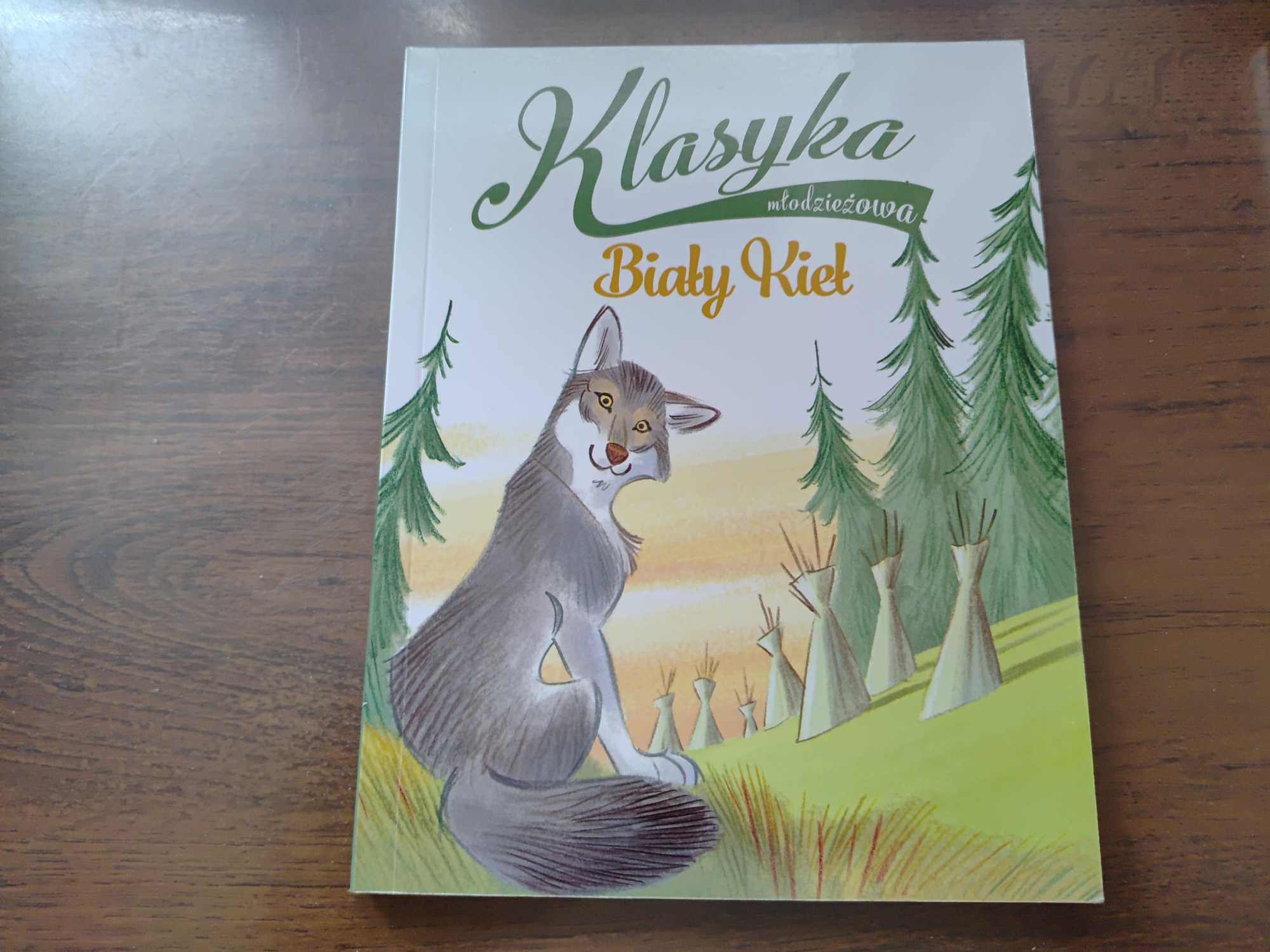 ZESTAW Biały Kieł, Niezwykłe spotkanie z Jezusem, 33 Eksperymenty.