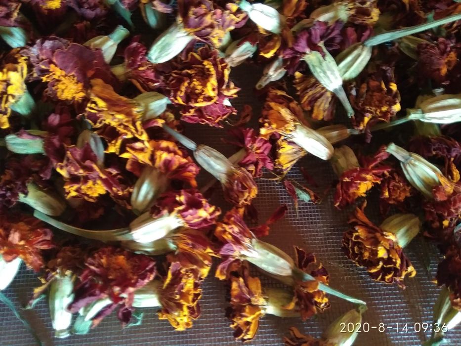 Бархатцы- лучшая противовирусная профилактика. Эффективно,бюджетно.