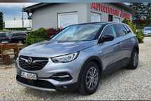 Opel Grandland X Tylko 66.ooo km Kamera Navi MOŻLIWA ZAMIANA