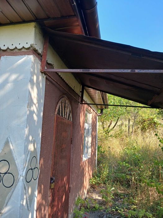 Дача біля термального басейну в Берегові з садовою ділянкою 6.5 соток