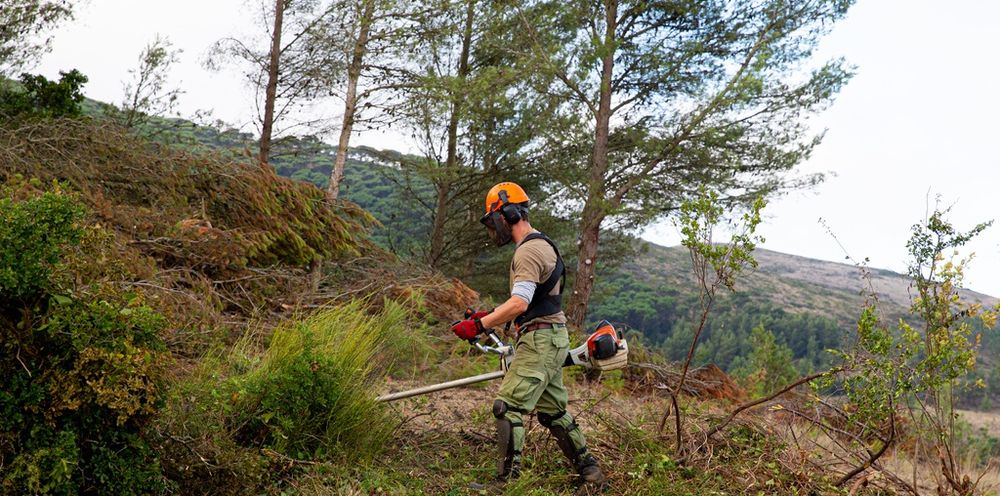 Limpezas Florestais / Jardinagem