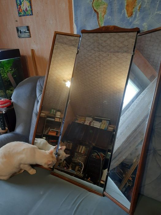 Верхушка старовинного , деревяного трюмо