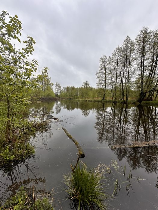 Продаж будинку в селі неподалік Рокитного