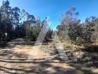Terreno para construção em Vale Domingos, Águeda