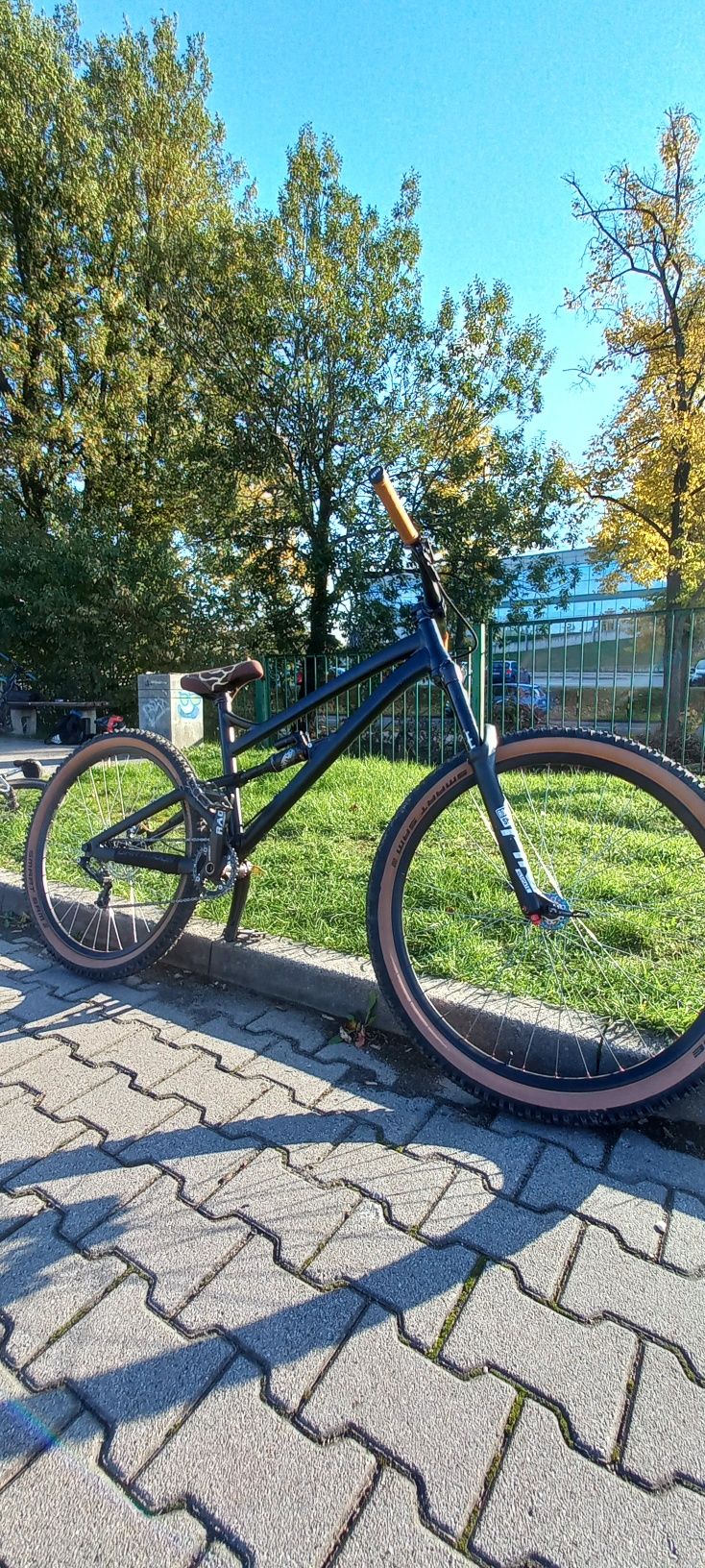 Dartmoor blackbird ( custom )