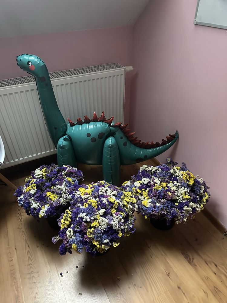 Oddam za darmo – suszone kwiaty i balon RAZERWACJA