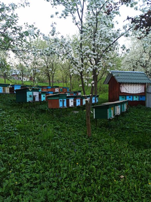 Приймаю замовлення