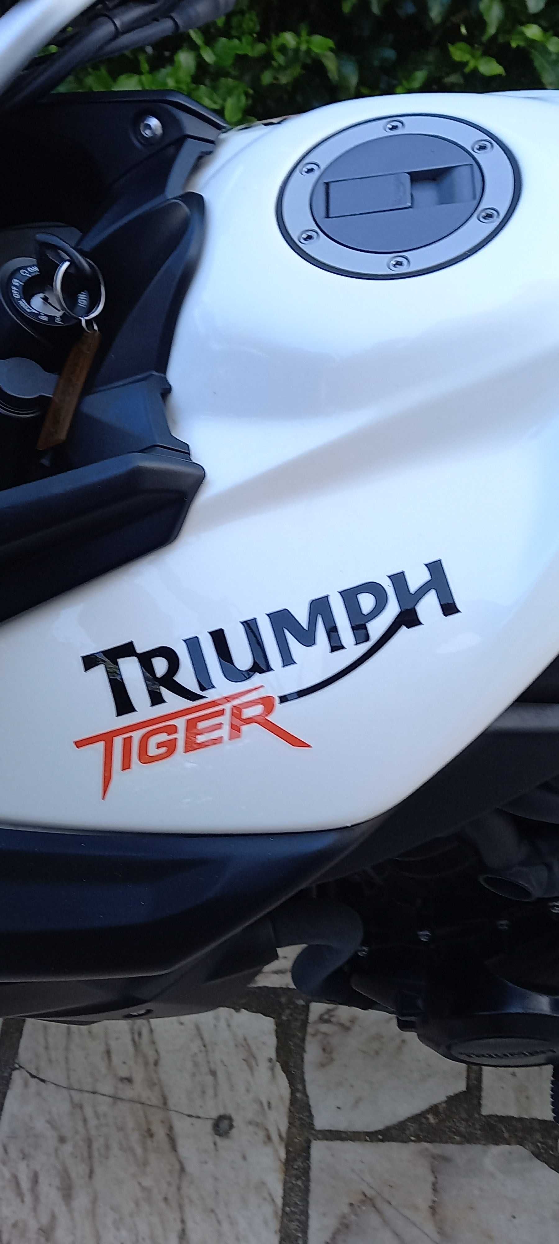 Triumph Tiger 800