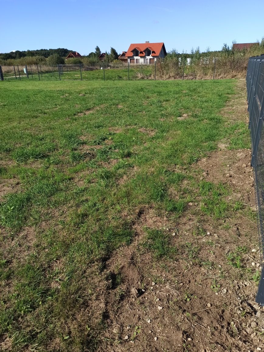 Wydzierżawię miejsce pod przyczepę kempingową, holenderkę, kamper