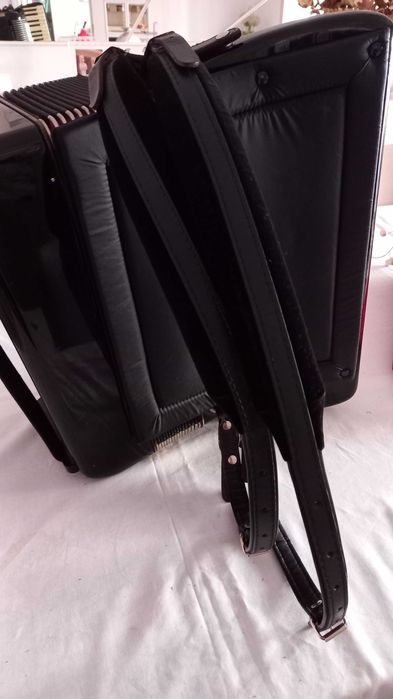 Venda ou troca acordeão honner  sem mochila