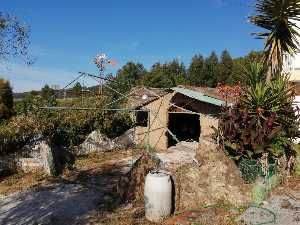 Terreno rústico com lagar e adega, por apartamento com vista de mar.