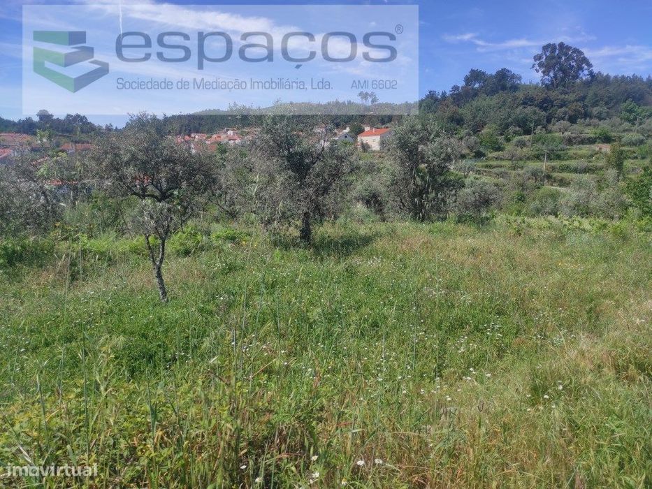 Terreno Rustico