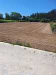 Terreno Agricola em Tougues