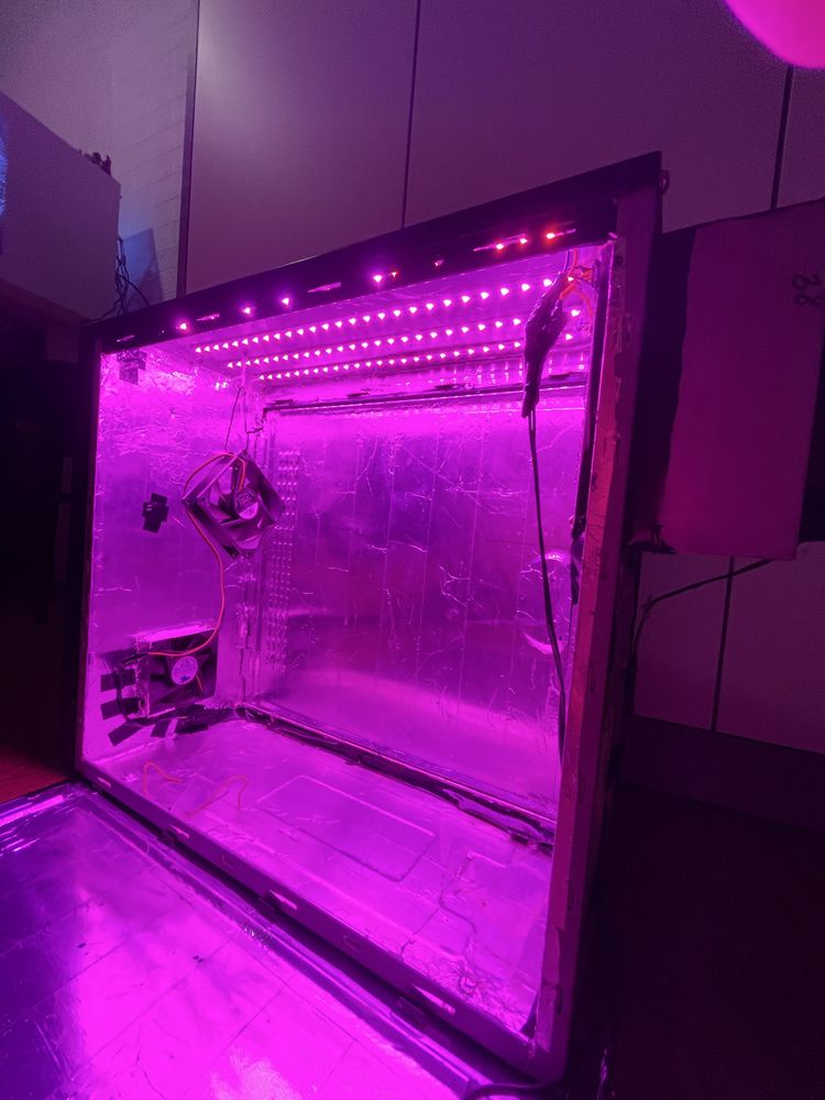 Гроубокс Growbox домашняя теплица скрытого типа