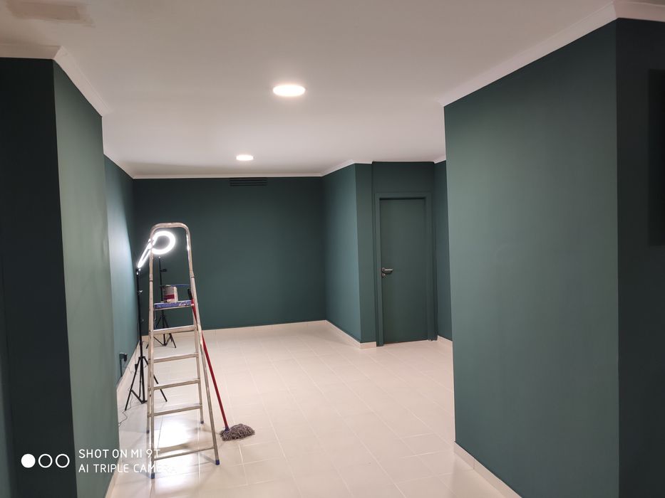 Pintor Profissional VISTADOLHOS