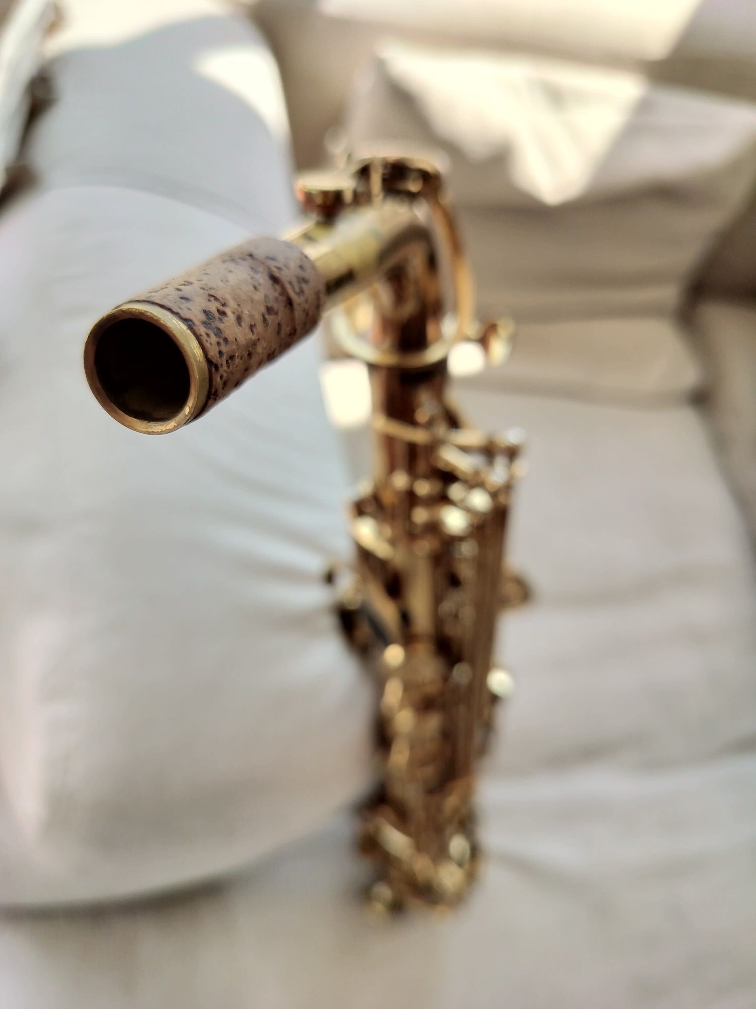 Saxofone alto Buffet Crampon Série 100