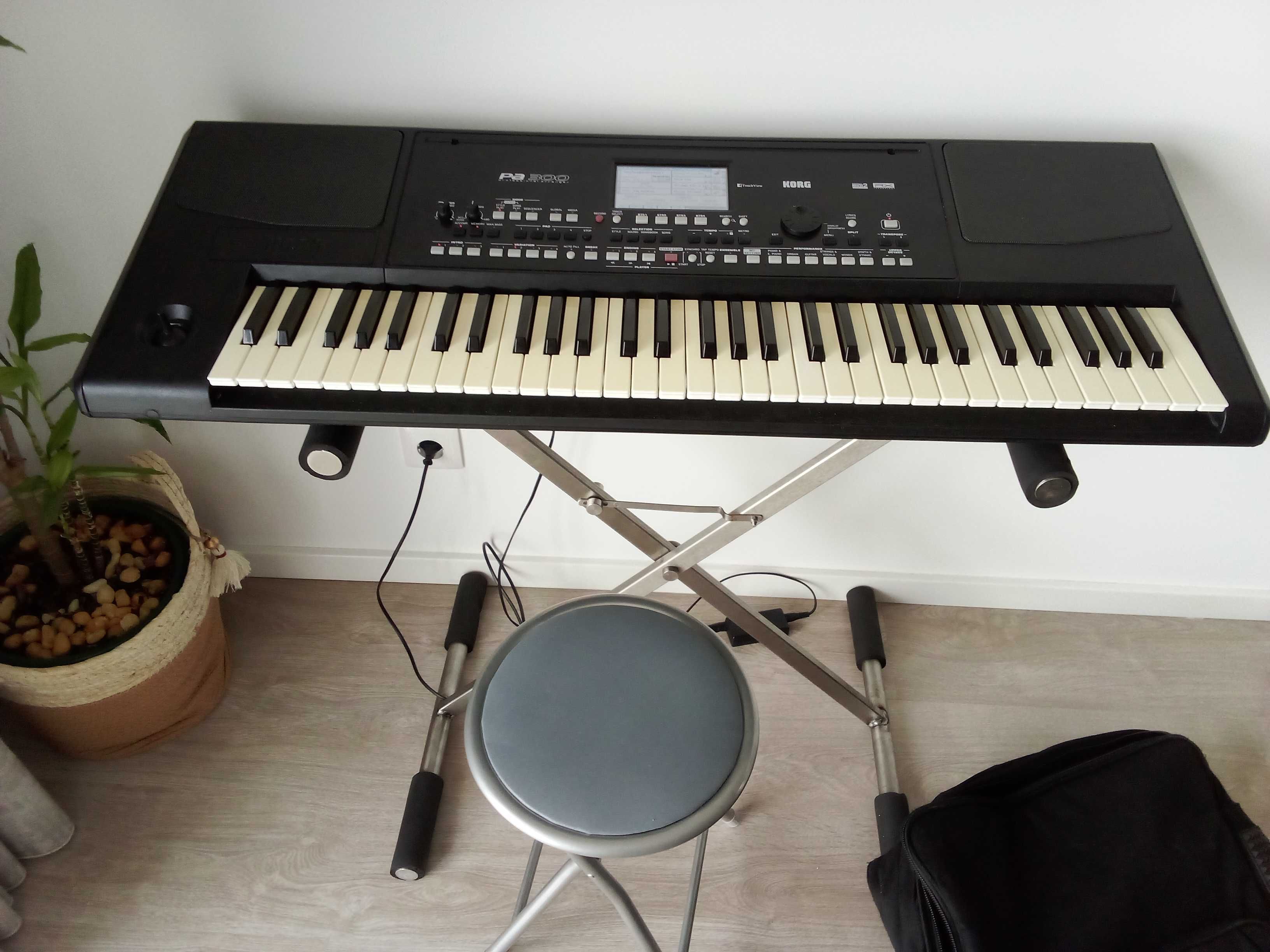 Teclado KORG PA300