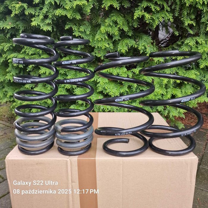 Sprężyny  EIBACH do Renault