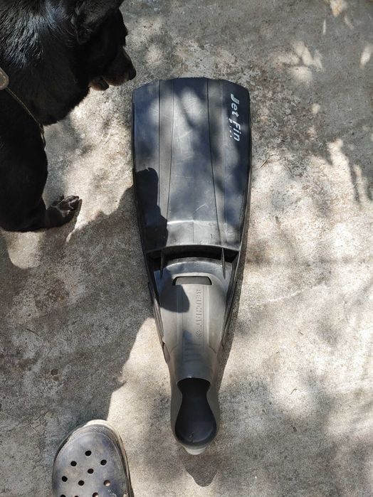 ласты прфессиональные