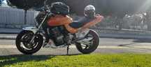Honda hornet 600