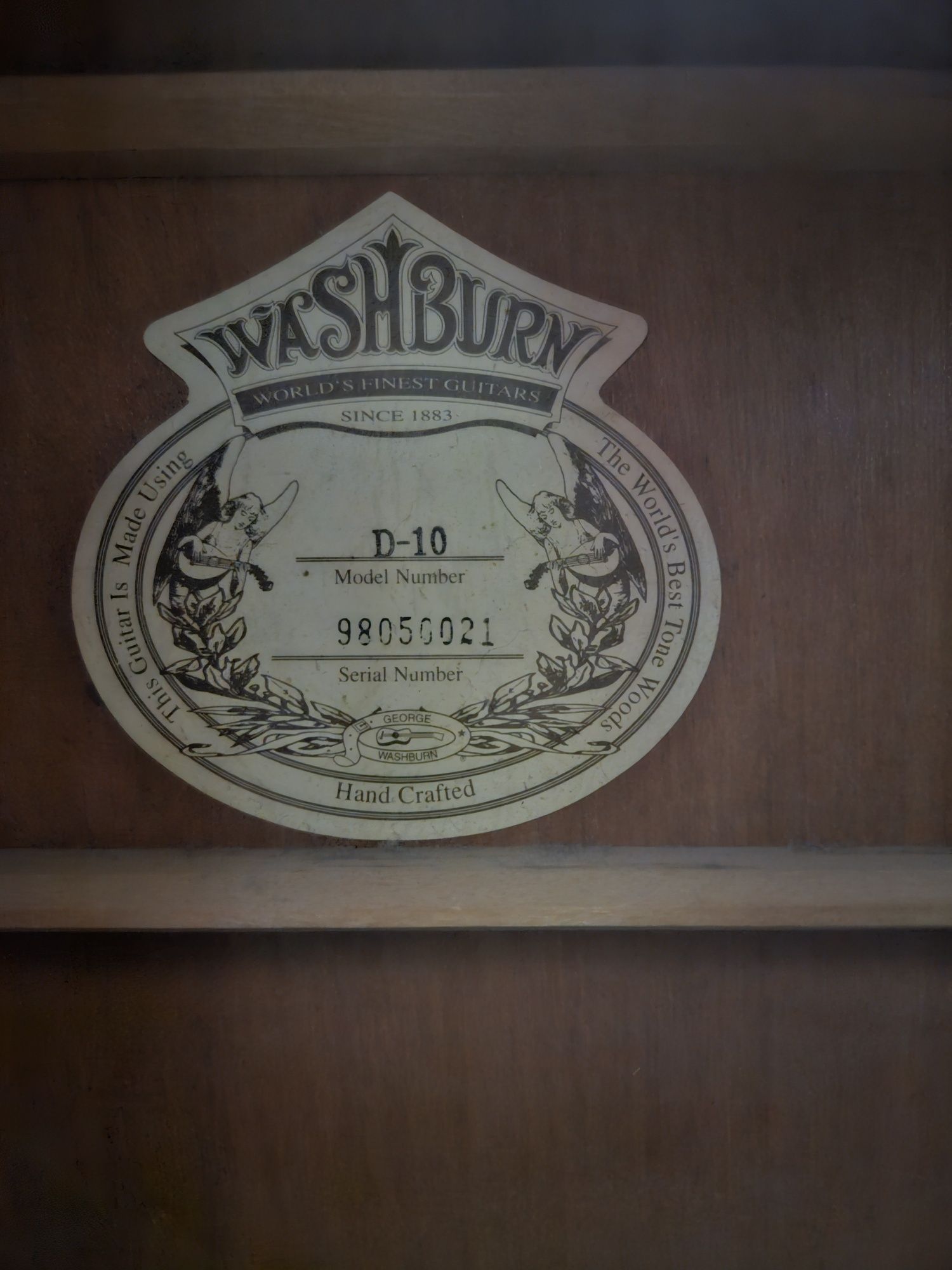 Guitarra Acustics Wasburn D-10
