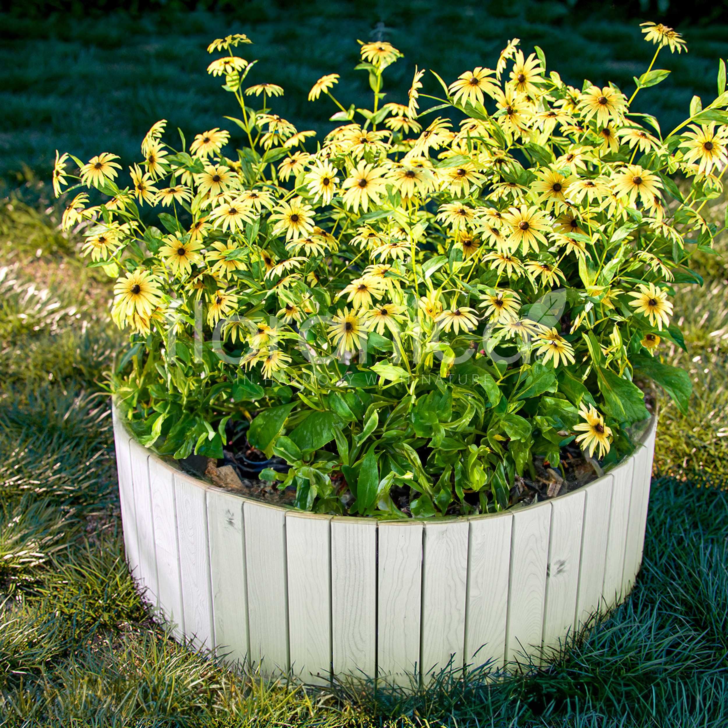 Rollborder II, Elastyczny płot drewniany 203cm. Płot sosnowy Floranica
