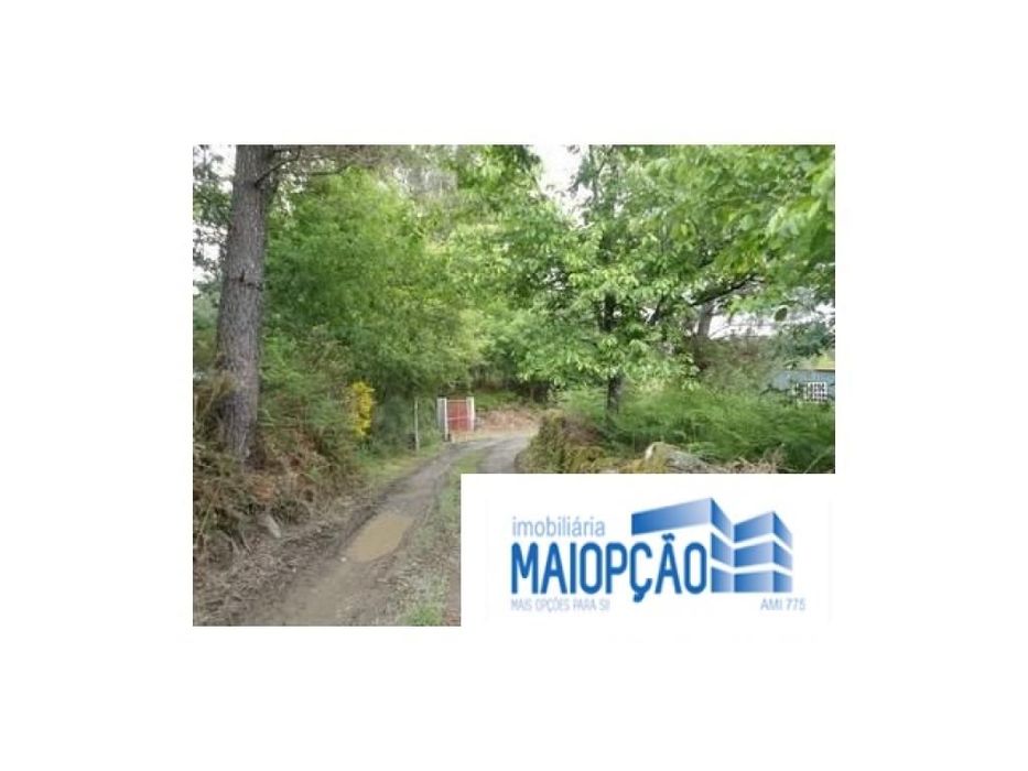 Terreno Rústico em Avelal