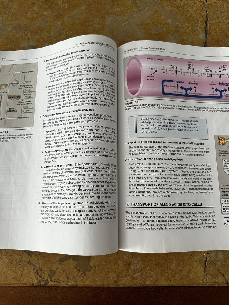 Biochemistry Lippincott’s ilustrated