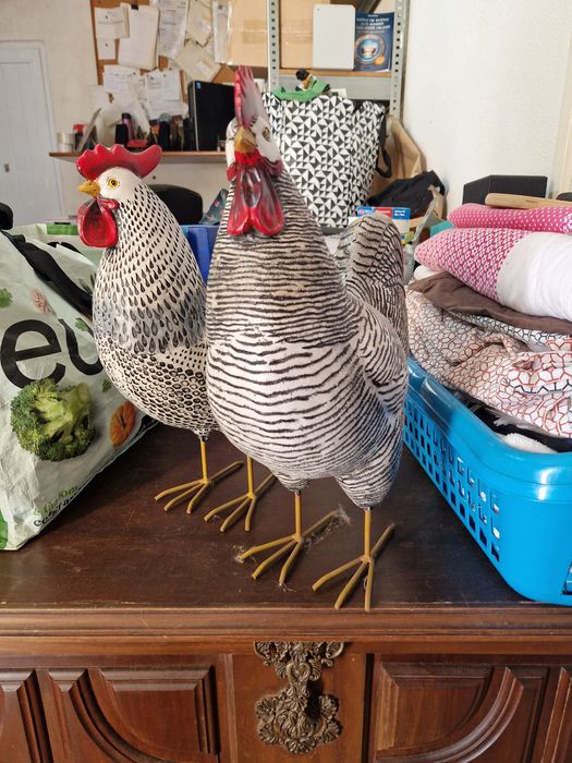 Galos de decoração