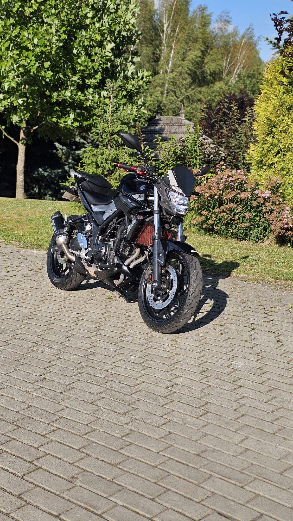 Yamaha  Mt03  A2