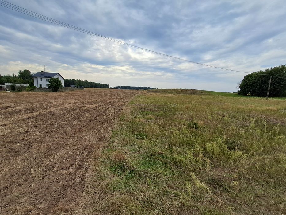 Budowlana działka Rybno!